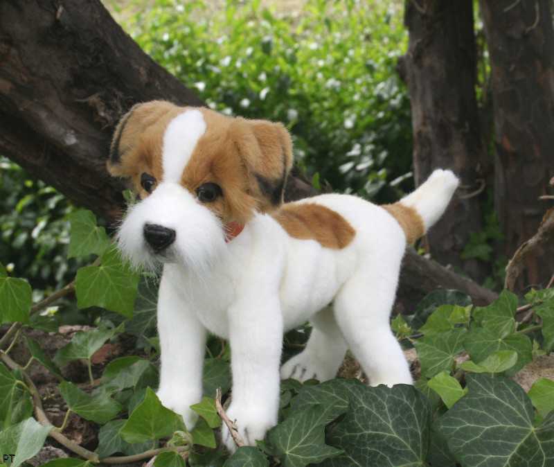 Plüschtier Hund, Plüschtier Jack Russel Terrier